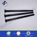 alibaba online supplier black zinc plated carbon steel carriage bolts